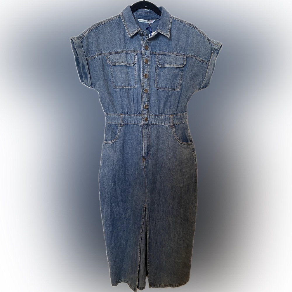 Given Kale Denim Button-Up Dress